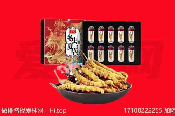 三台县回收虫草.jpg